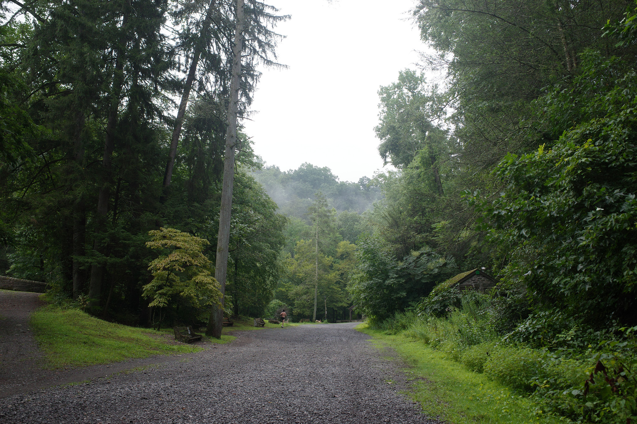Photograph 1